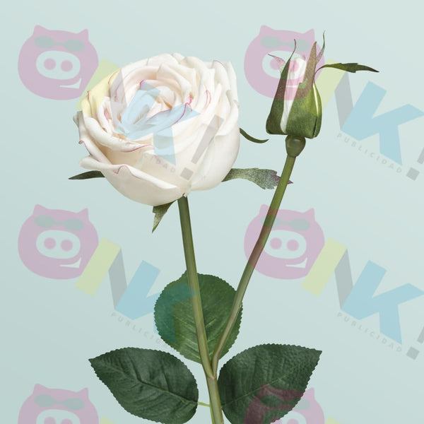 Cuadro Rosa blanca - Oink Publicidad